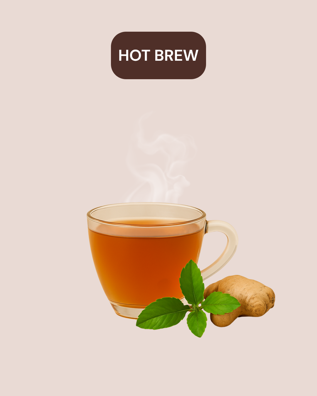 Tulsi Ginger Tea - Strengthens immunity and reduces inflammation (Tea Bags)